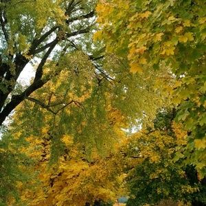 Meet your Posher, Leah